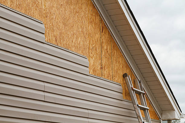 Professional Siding Replacement technician working in Westville, SC